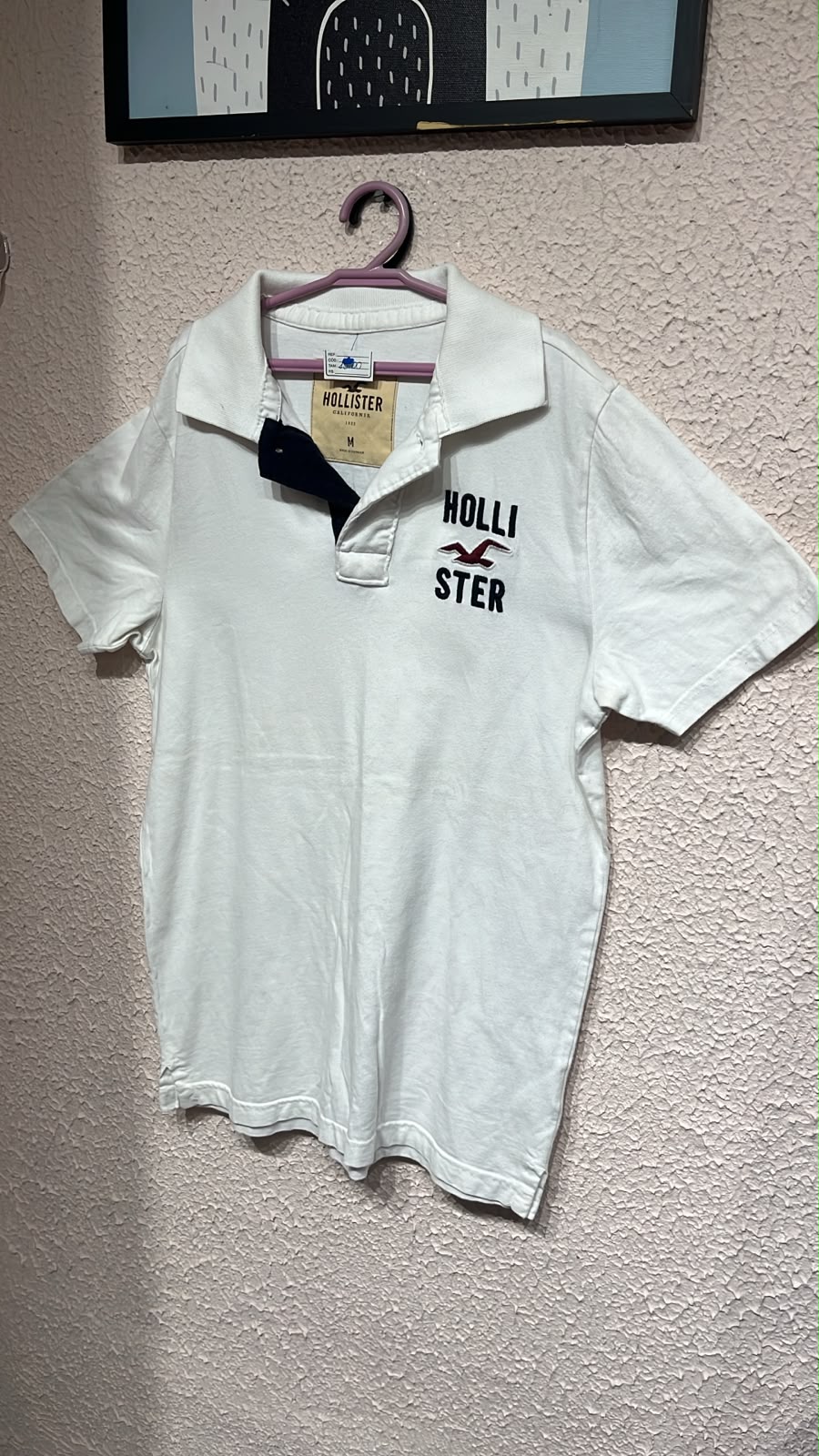 Camisa masc Hollister