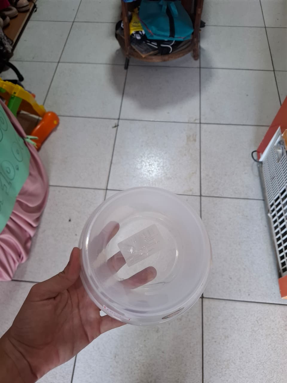 Comedouro P BPA Free - foto 3