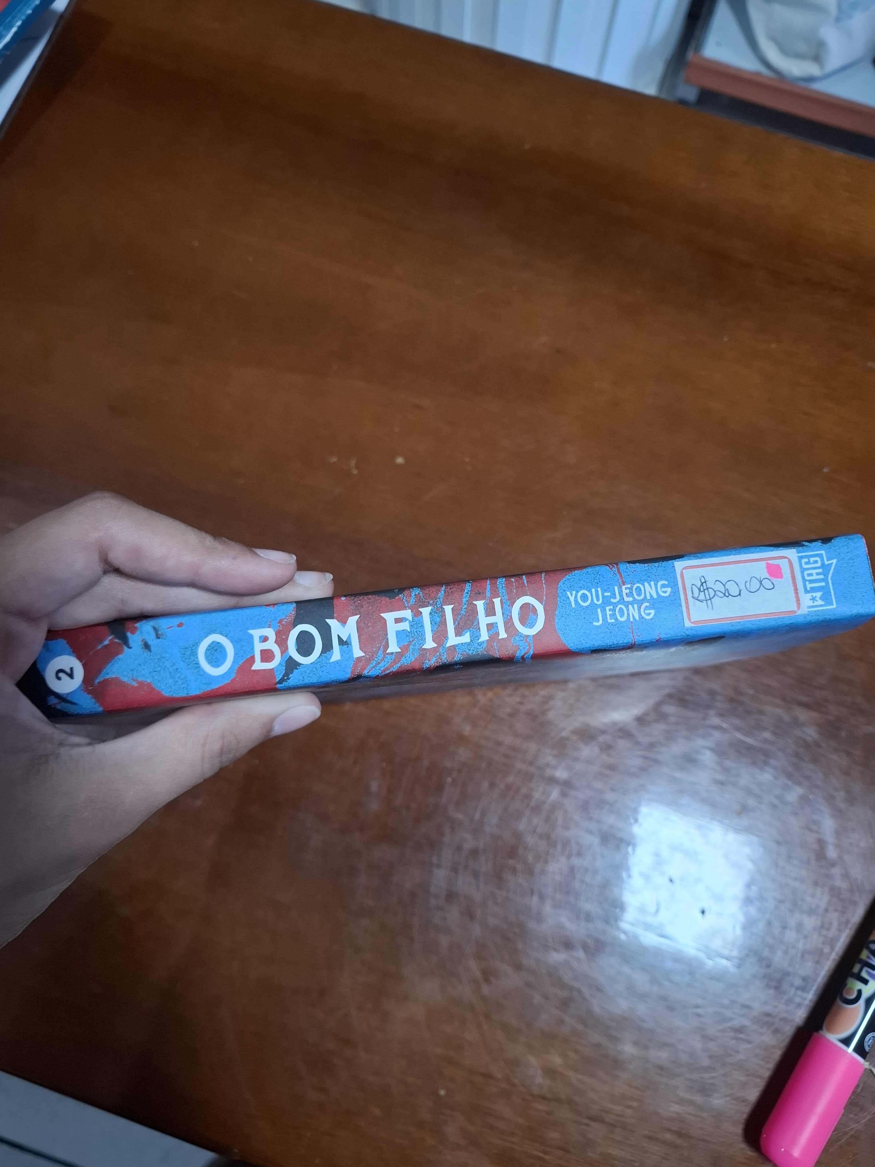 O bom filho - foto 3