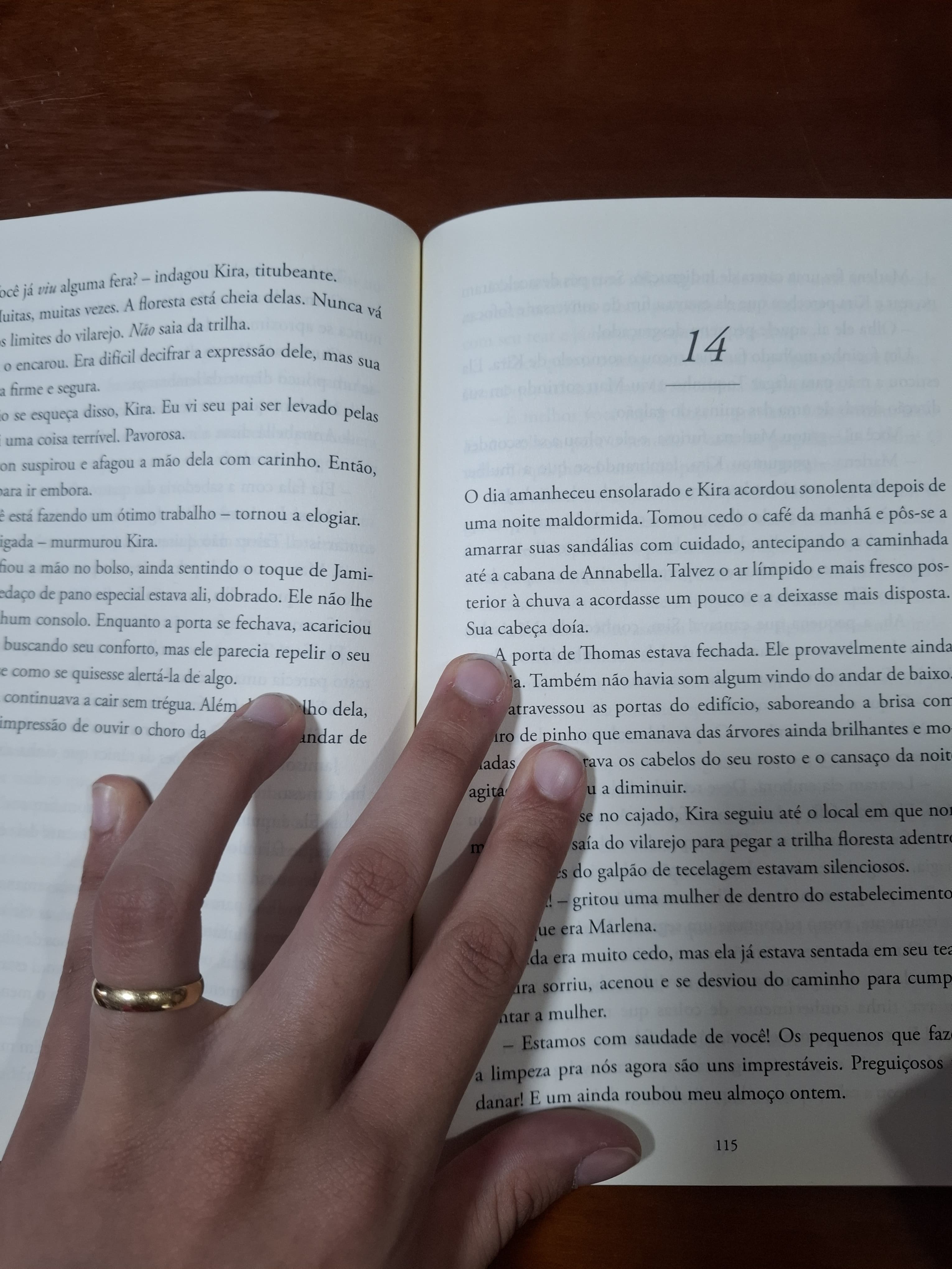 A escolhida (vol2) - foto 2