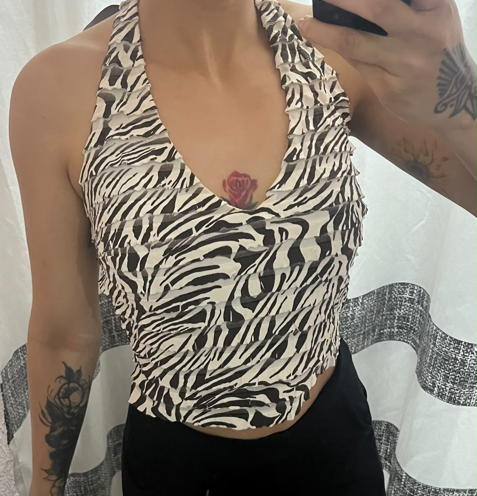 Cropped zebra